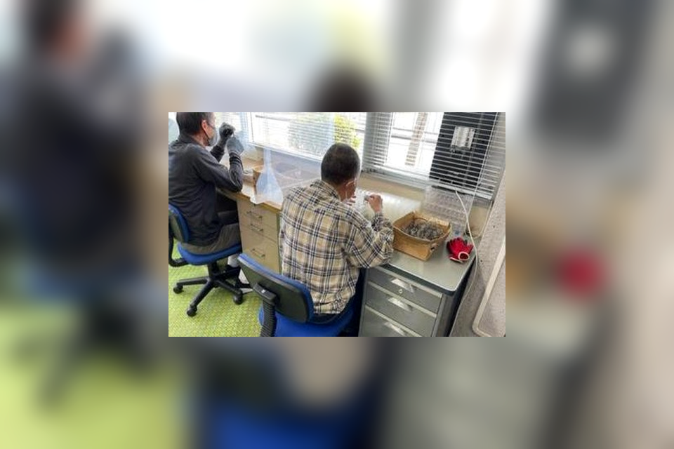 亘理町ゆうゆう作業所の事業所の雰囲気